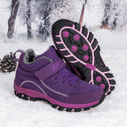 Purple / 37